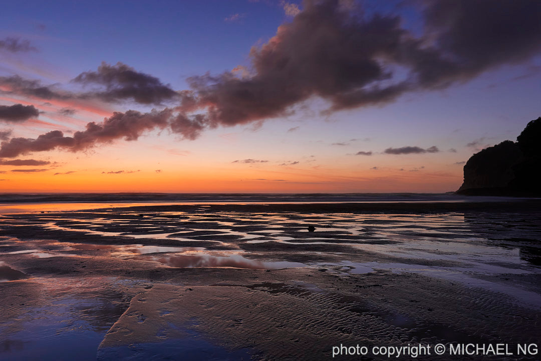 Bethells Beach 2 New Zealand