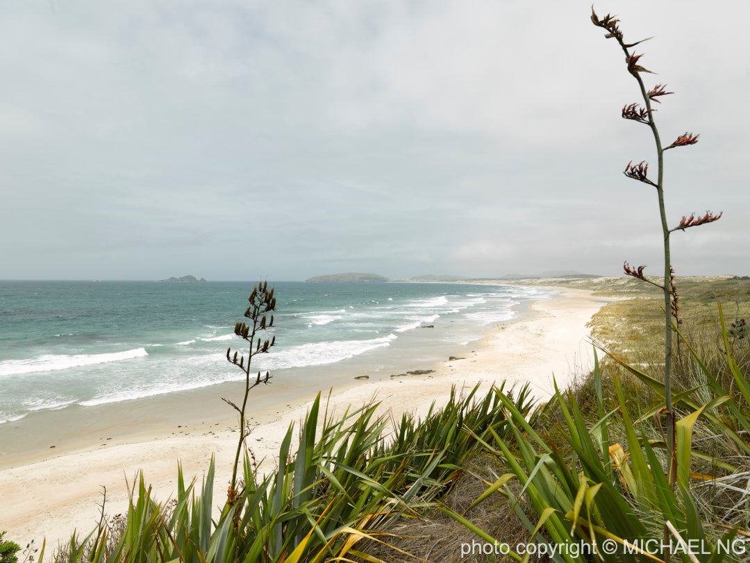 Henderson Bay - Northland New Zealand