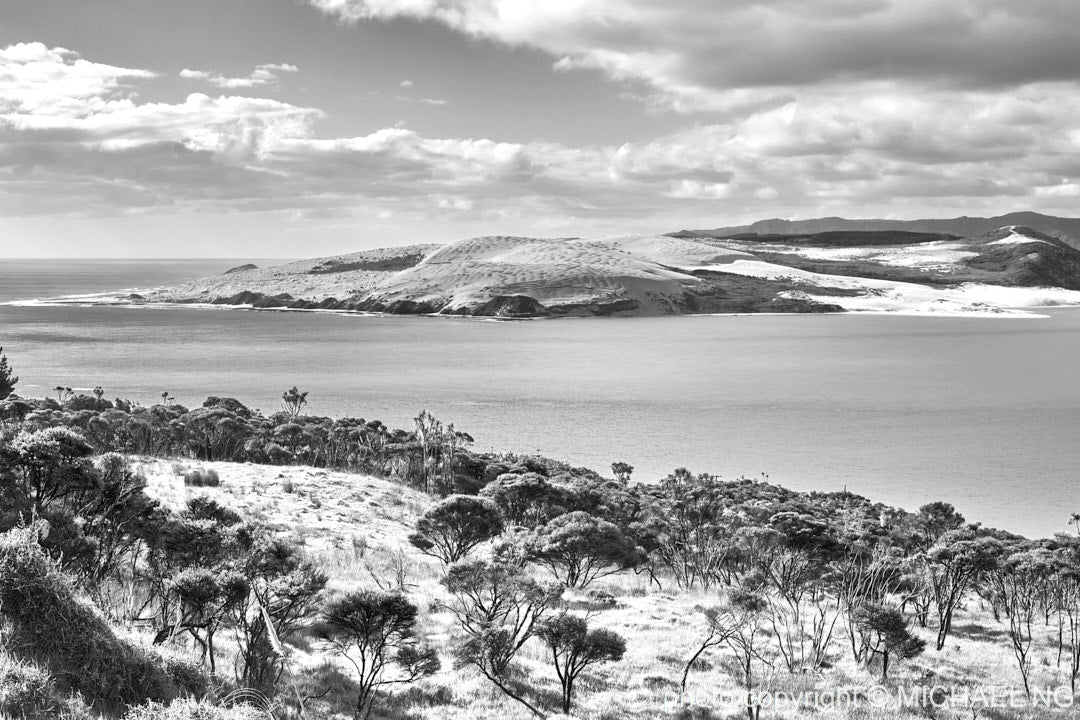 Hokianga New Zealand