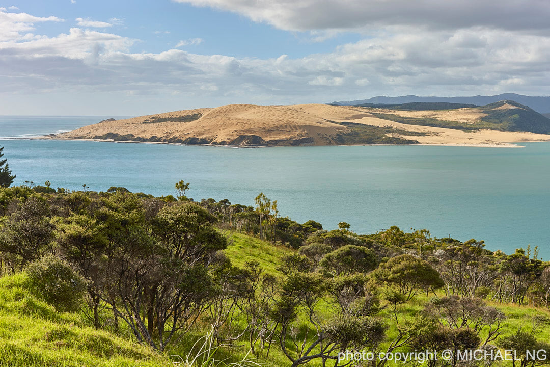 Hokianga 2 New Zealand
