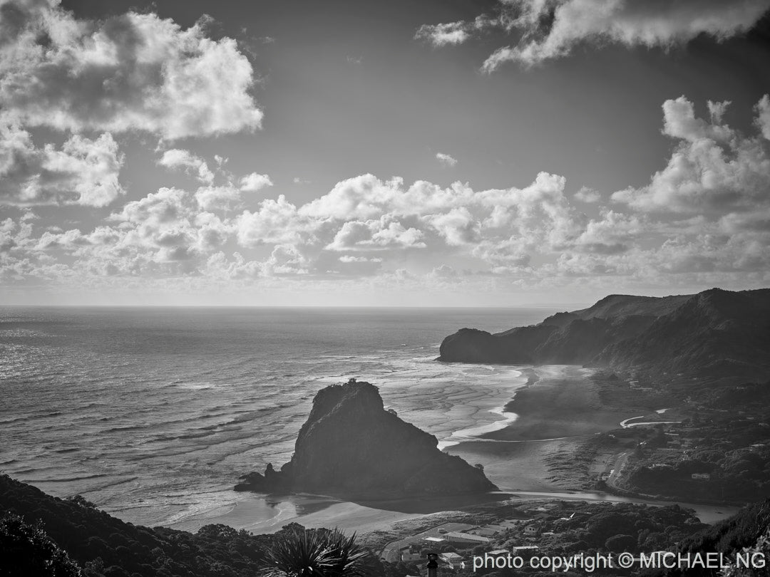 Lion Rock Piha - New Zealand