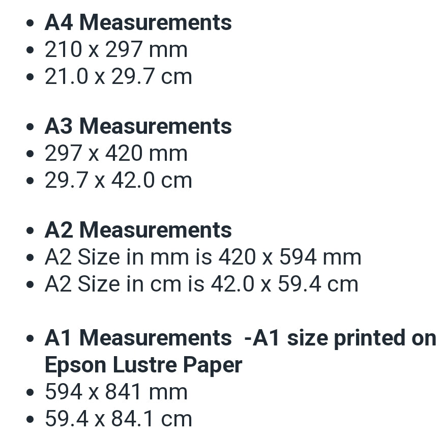 Jet Racing Wanaka New Zealand