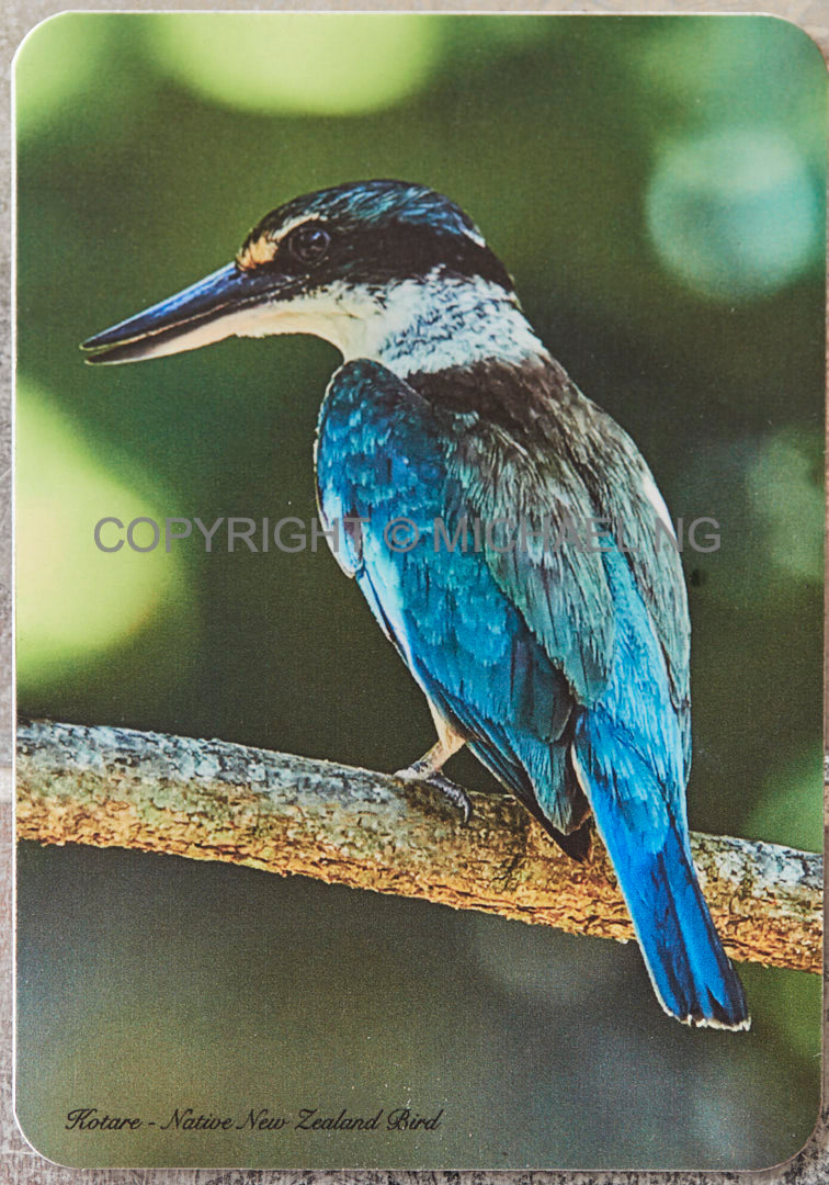 Fridge Art - Kingfisher #1