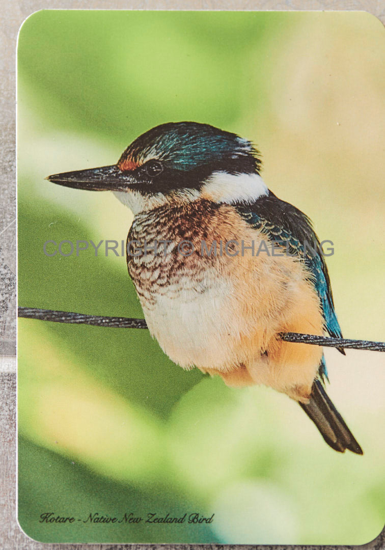 Fridge Art - Kingfisher #2