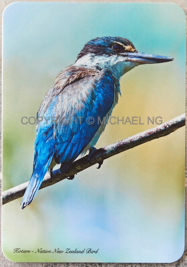 Fridge Art - Kingfisher #3