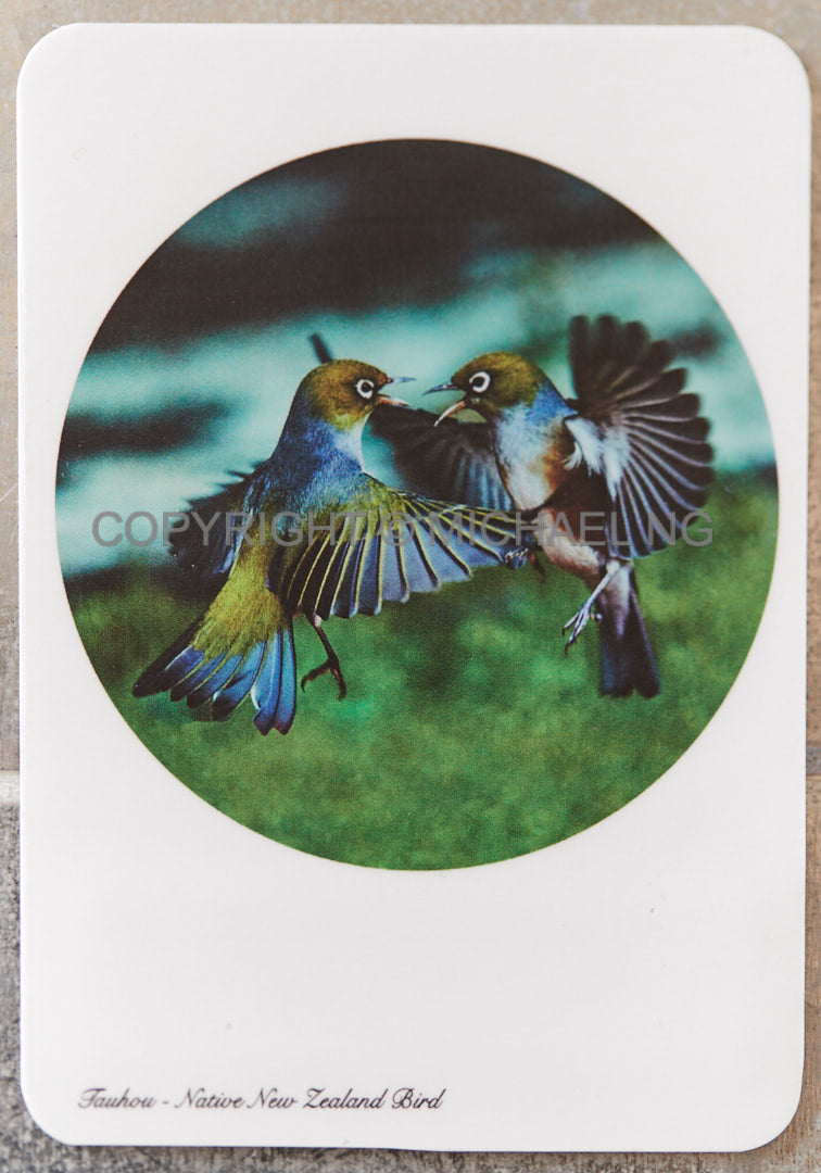 Fridge Art - Wax Eyes #1