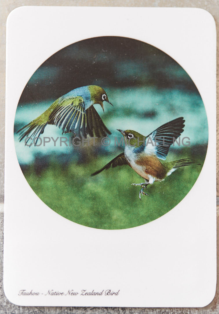 Fridge Art - Waxeyes #2