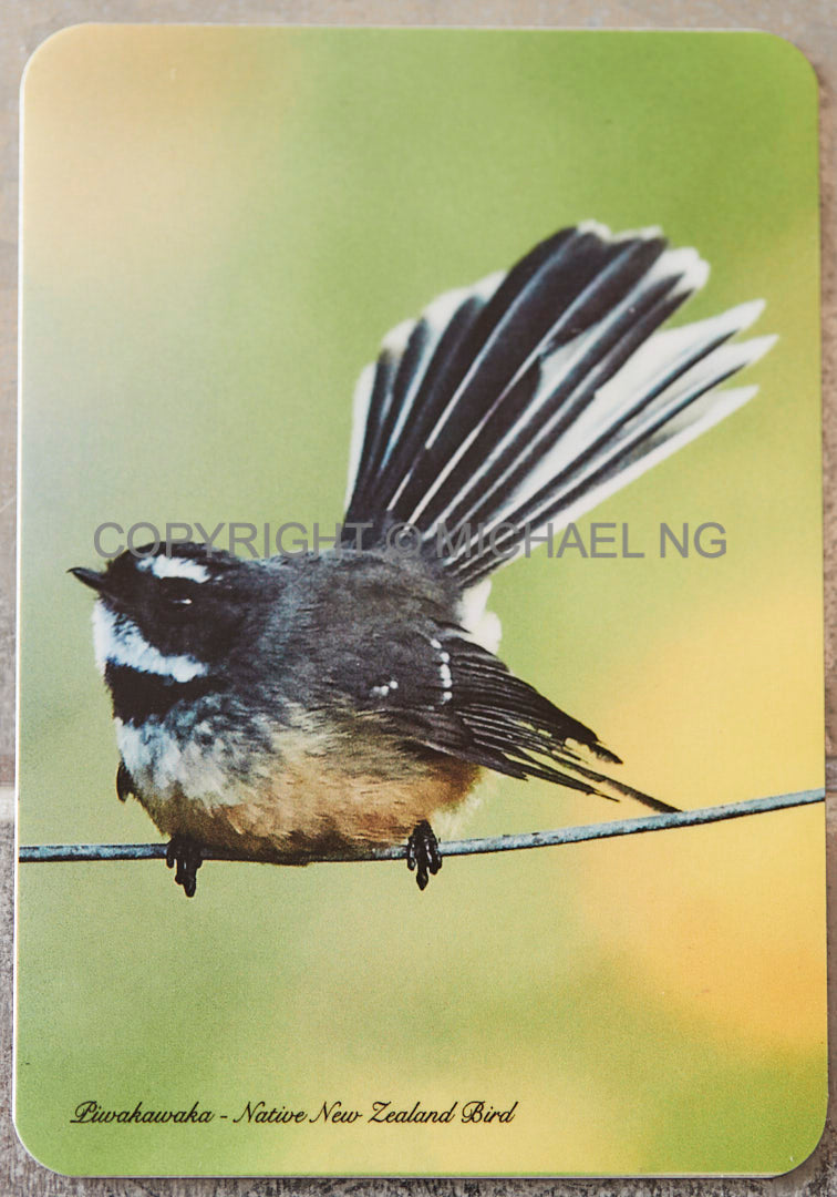 Fridge Art - Fantail #1