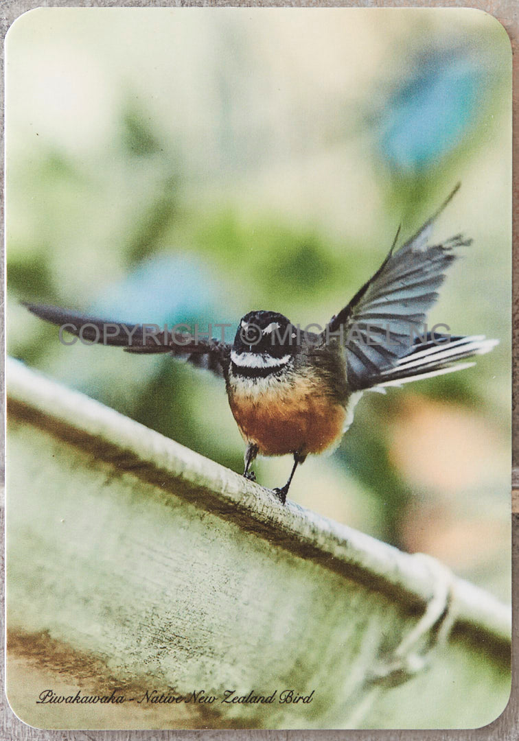 Fridge Art - Fantail #2