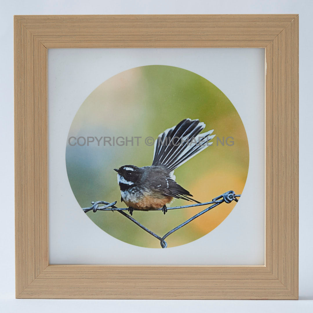 Native Bird Squares - Fantail #3