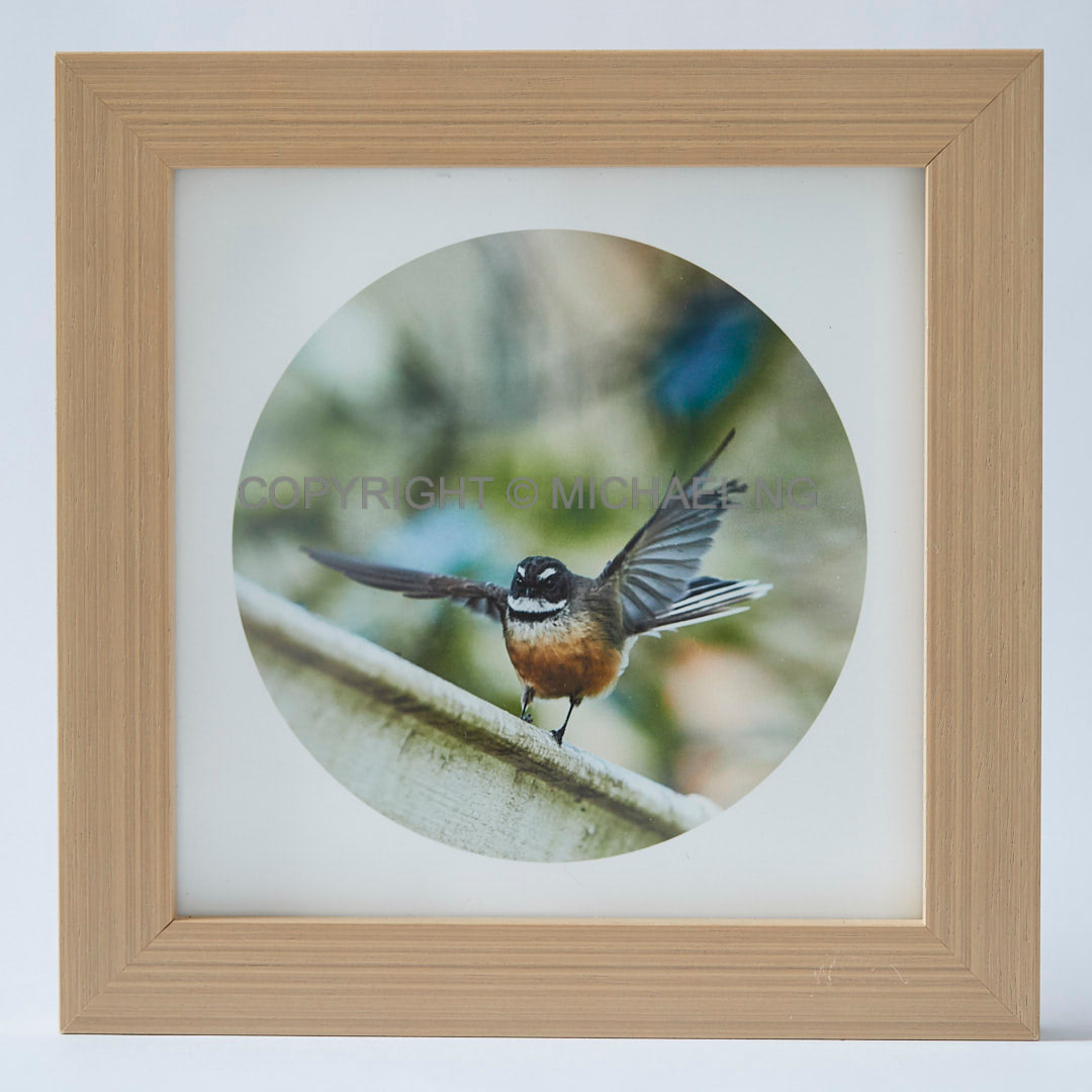 Native Bird Squares - Fantail #4