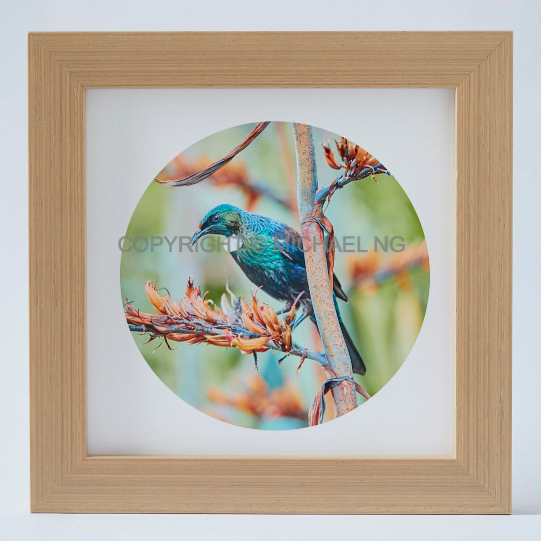 Native Bird Squares - Tui #10