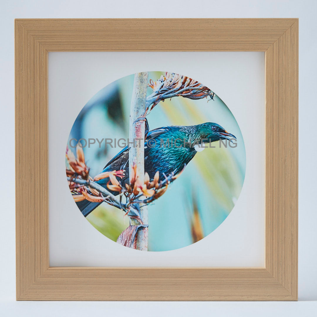 Native Bird Squares - Tui #11