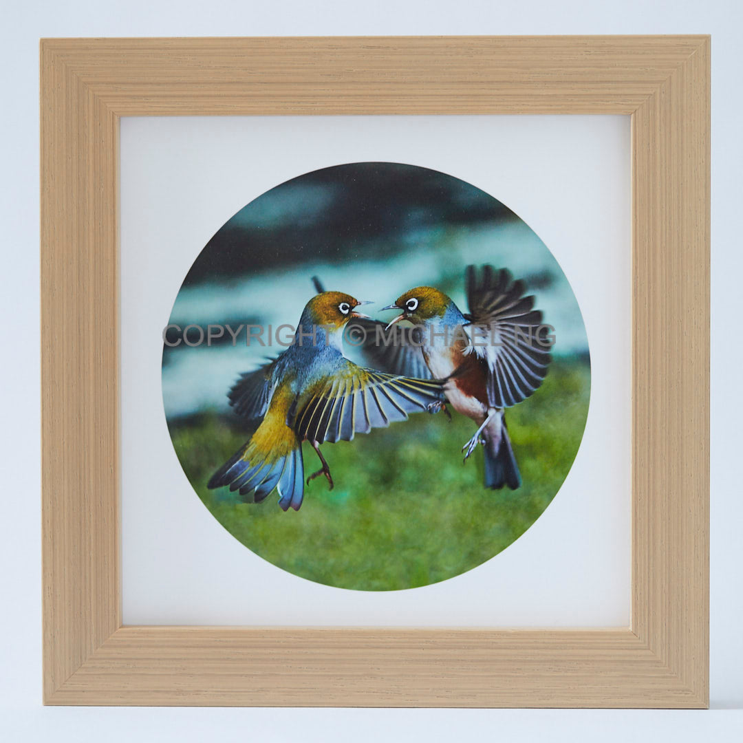 Native Bird Squares- Waxeyes #2