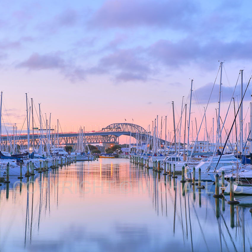 #3Ways ART - Auckland Westhaven #1