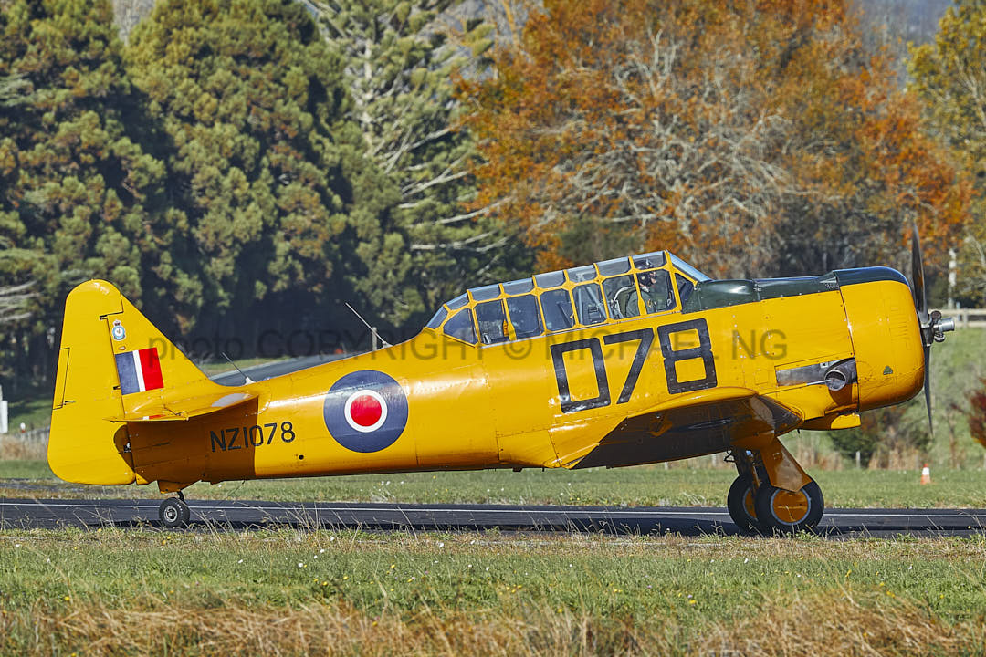 Warbirds - Harvard #2