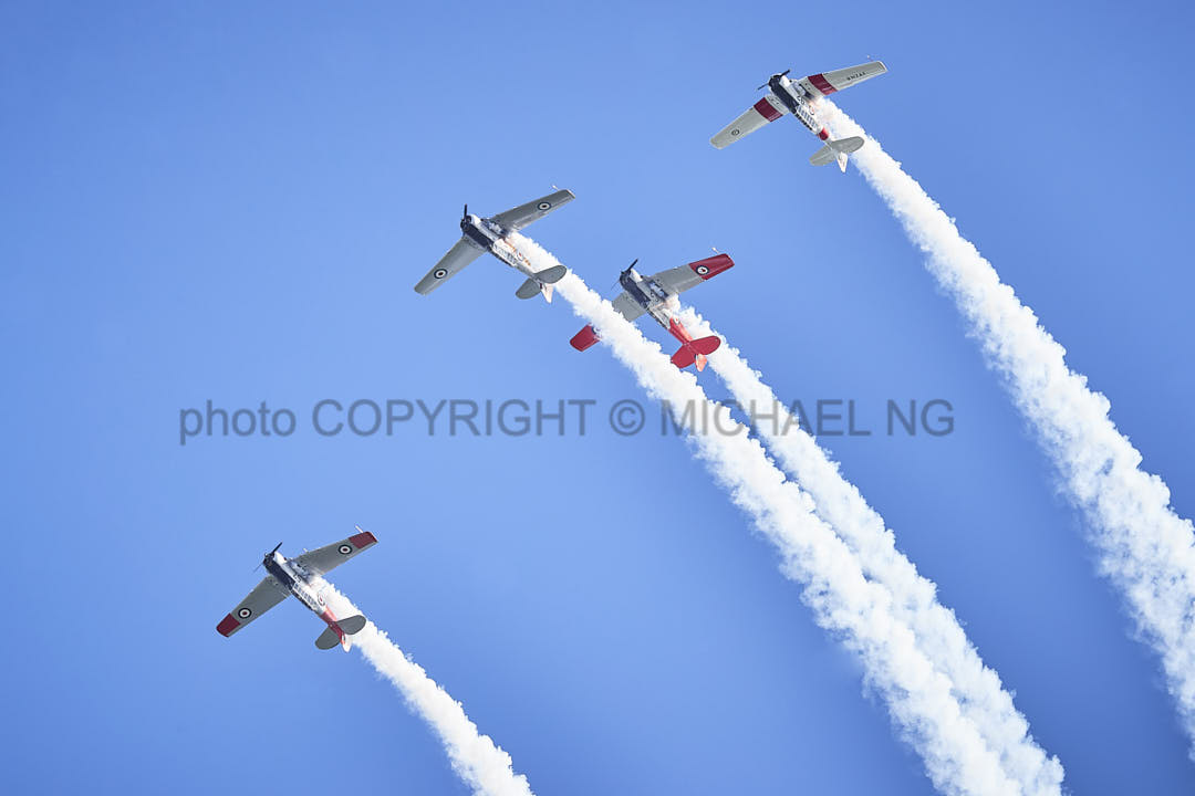 Warbirds - Harvard #1