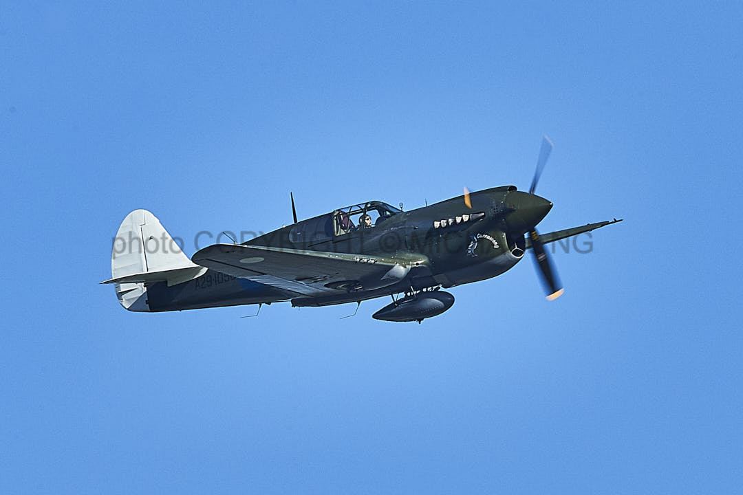 Warbirds - KittyHawk #2