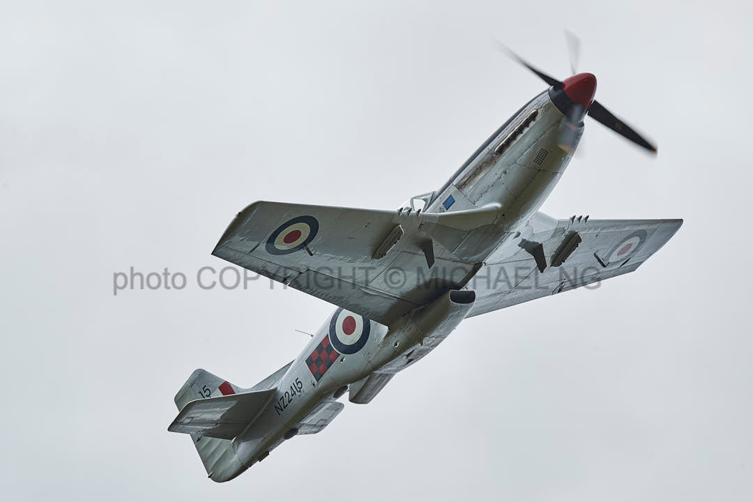 Warbirds - Mustang #1