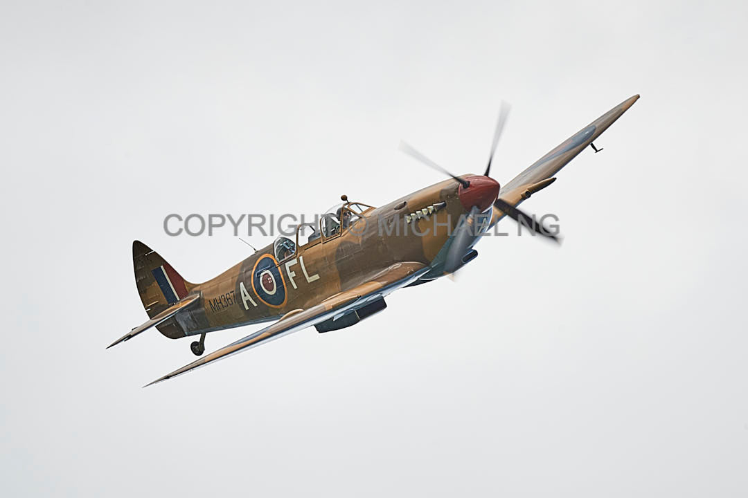 Spitfire #8