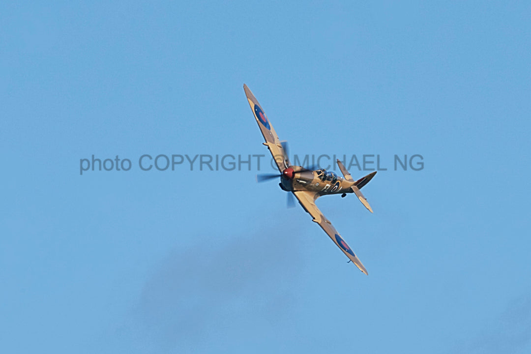 Warbirds - Spitfire #5