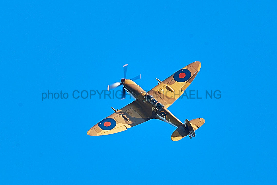 Warbirds - Spitfire #4