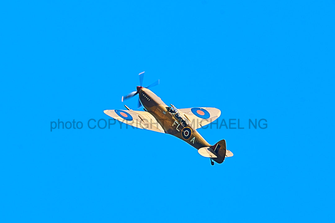 Warbird - Spitfire #3