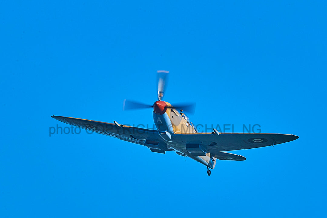 Warbirds - Spitfire #2