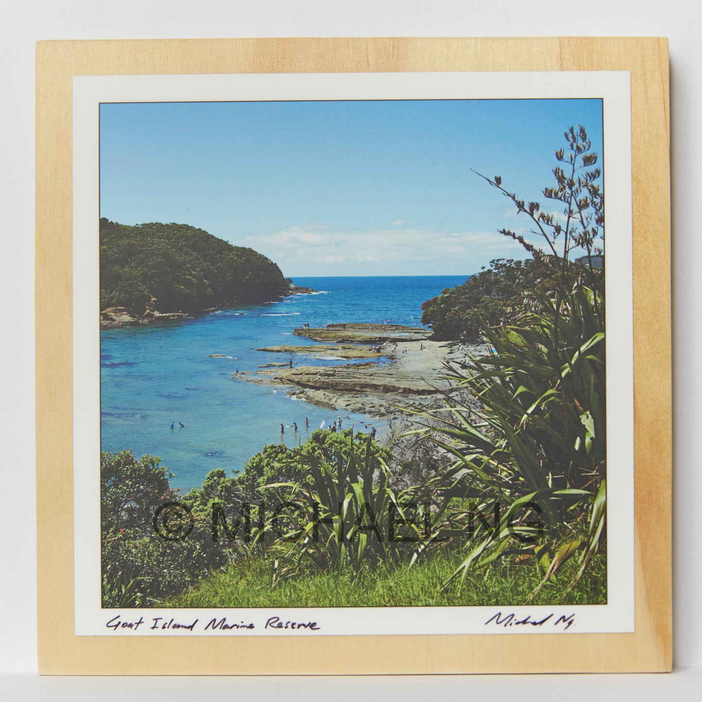 Goat Island Marine Reserve New Zealand