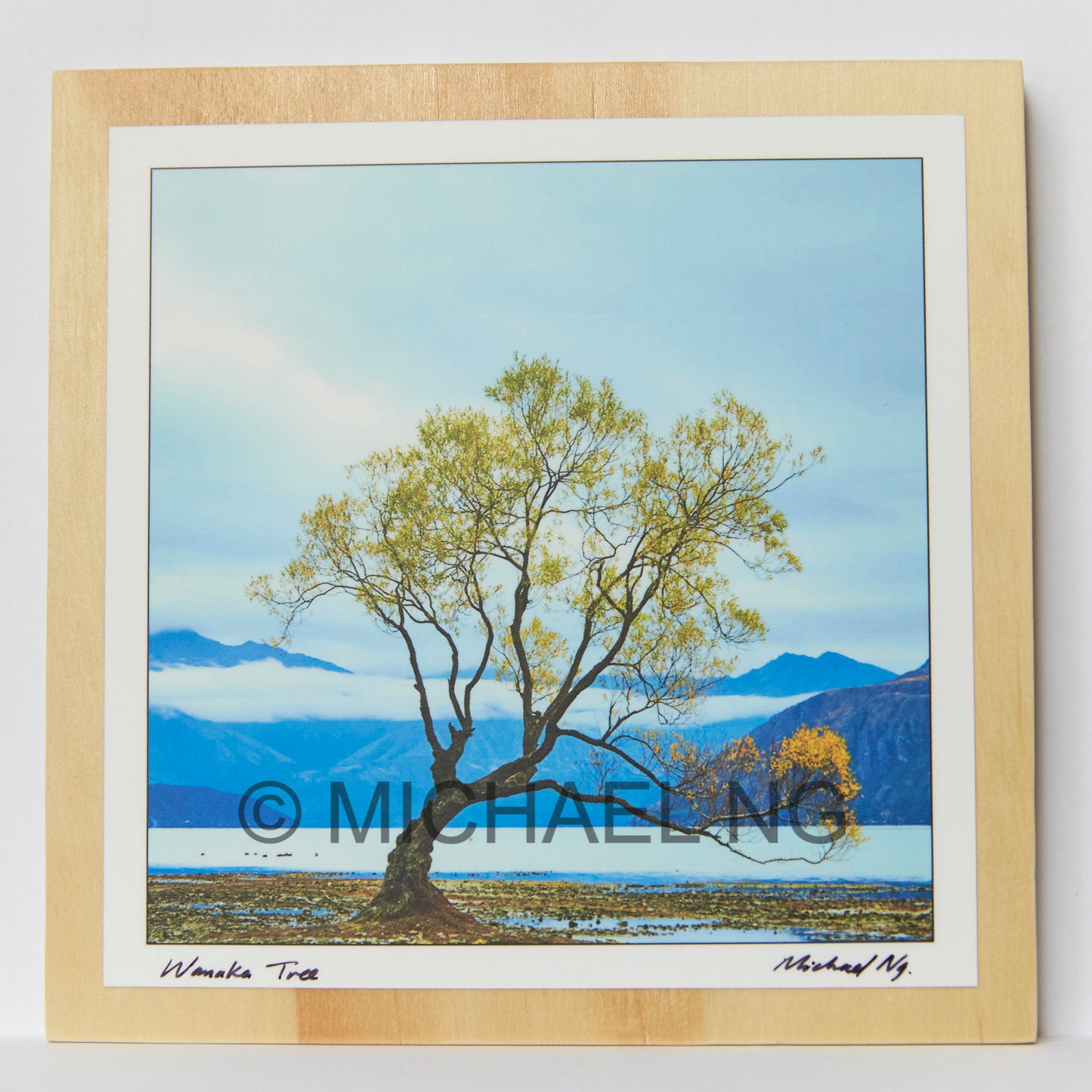 Wanaka - New Zealand