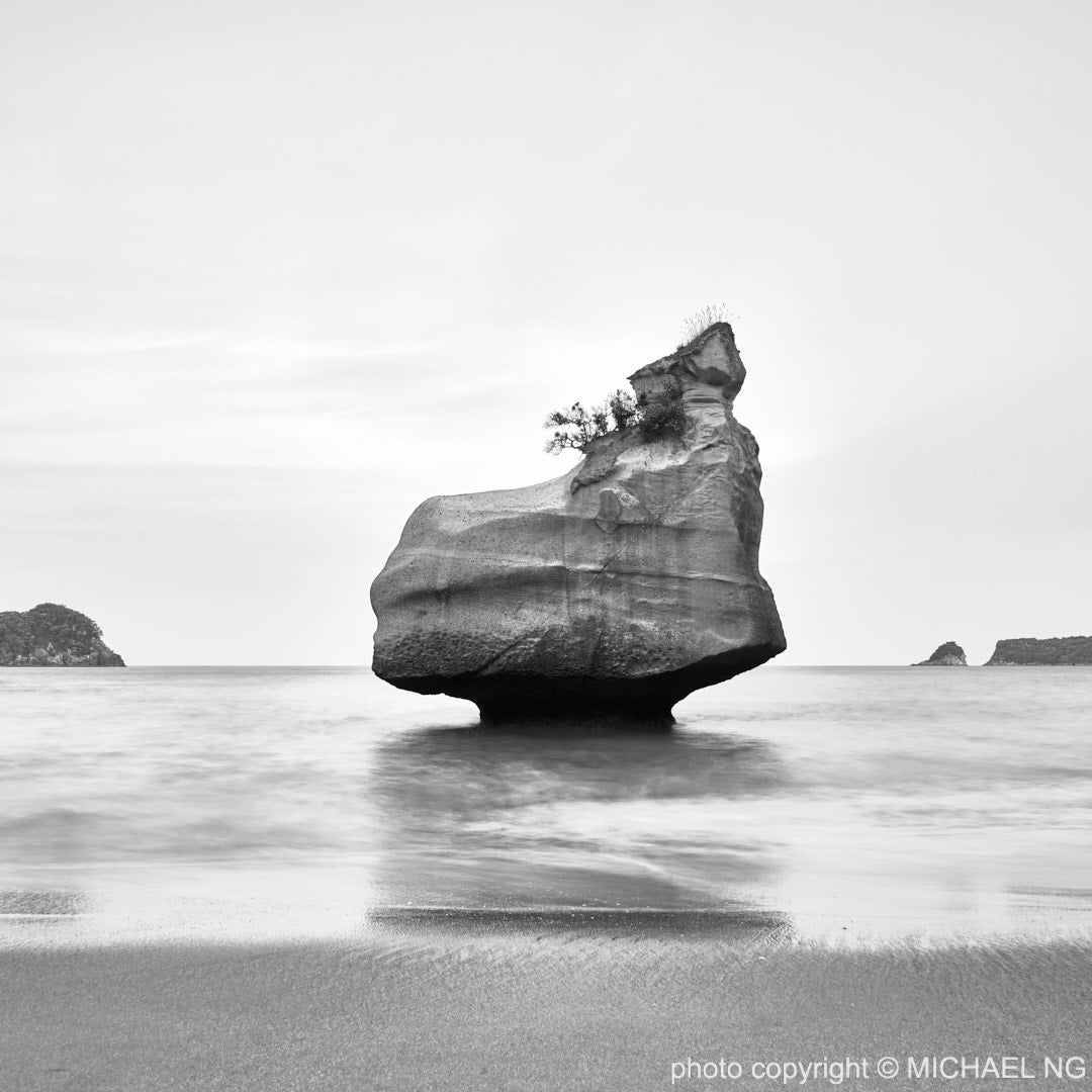 Cathedral Cove Black+White - Coromandel New Zealand