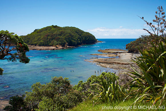 Leigh - New Zealand