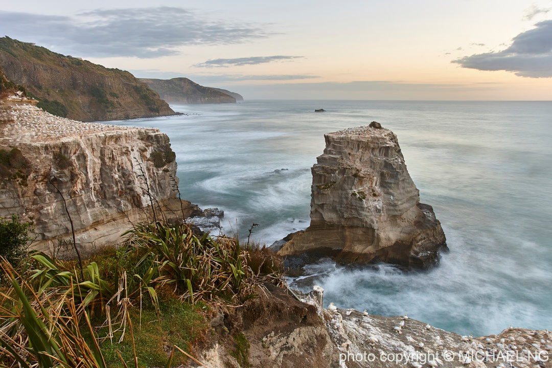 Muriwai - New Zealand