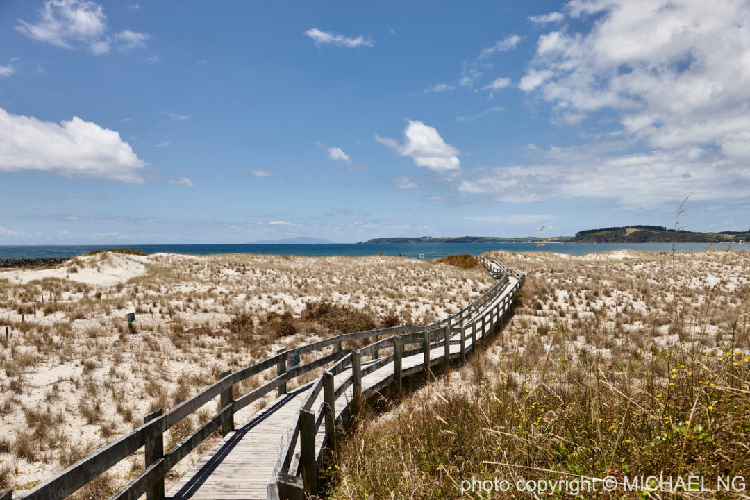 Omaha - New Zealand