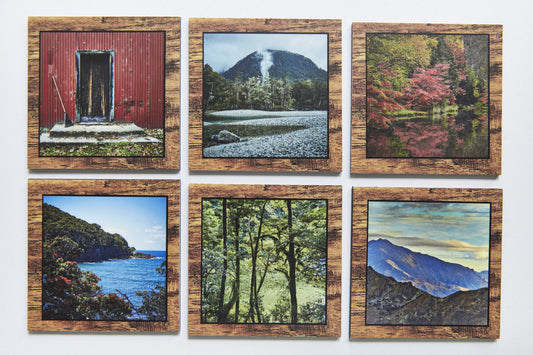 Table Coasters - New Zealand Arty NZ