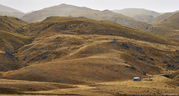 Shepherds Hut