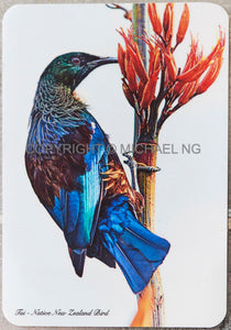 Fridge Art - Tui #4