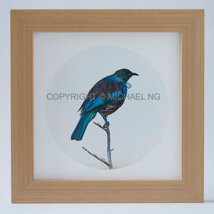 Native Bird Squares - Tui #15