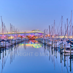 #3Ways ART - Auckland Matariki Lights
