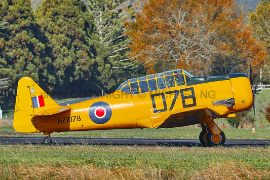 Warbirds - Harvard #2