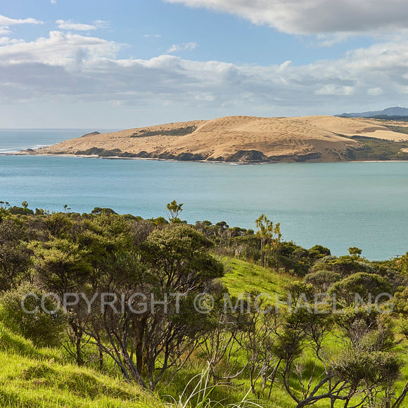 #3Ways ART - Hokianga #0132