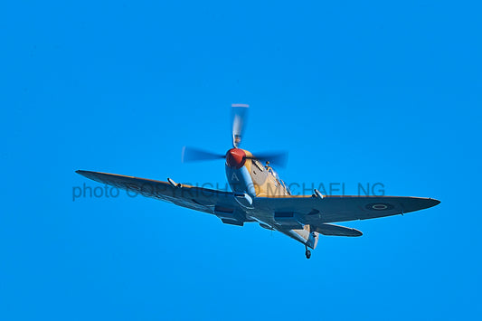 Warbirds - Spitfire #2